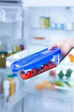 Pyrex - Cook & Go Schaal Rechthoek Met Deksel 0,8 Liter - Transparant 30 Pyrex - Cook & Go Schaal Rechthoek Met Deksel 0,8 Liter - Transparant -Bbq Gereedschap Winkel 800x1200 24